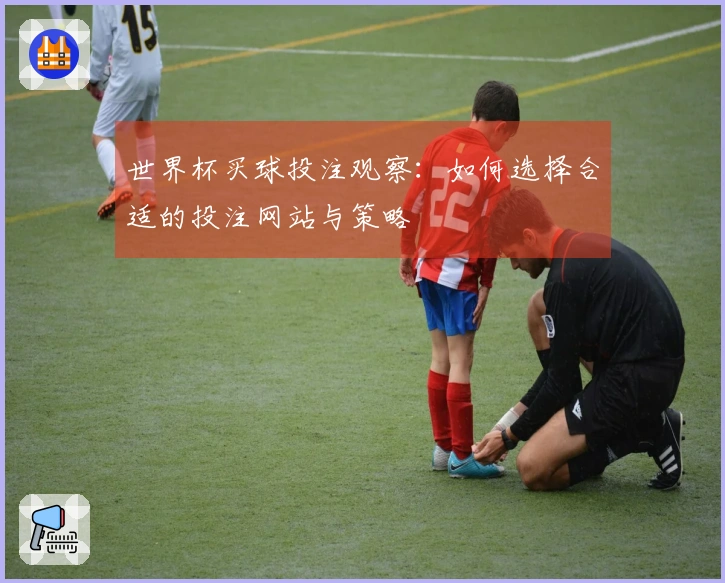 世界杯买球投注观察:如何选择合适的投注网站与策略