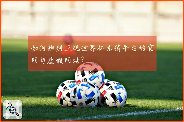 如何辨别正规世界杯竞猜平台的官网与虚假网站？