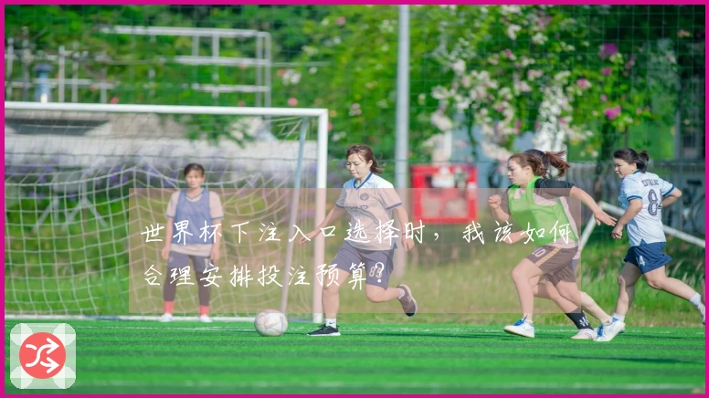 世界杯下注入口选择时，我该如何合理安排投注预算？