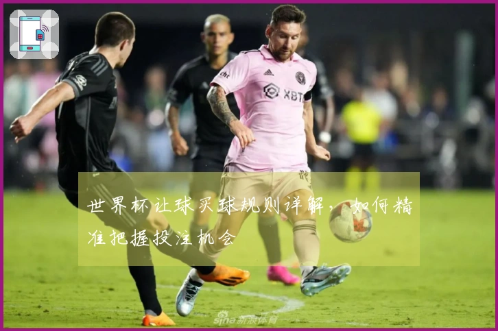 世界杯让球买球规则详解，如何精准把握投注机会
