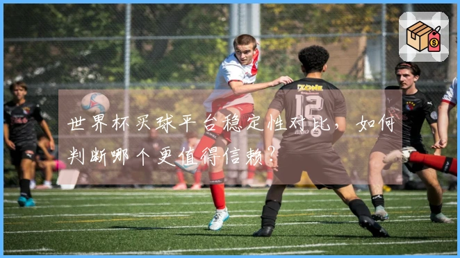 世界杯买球平台稳定性对比，如何判断哪个更值得信赖？