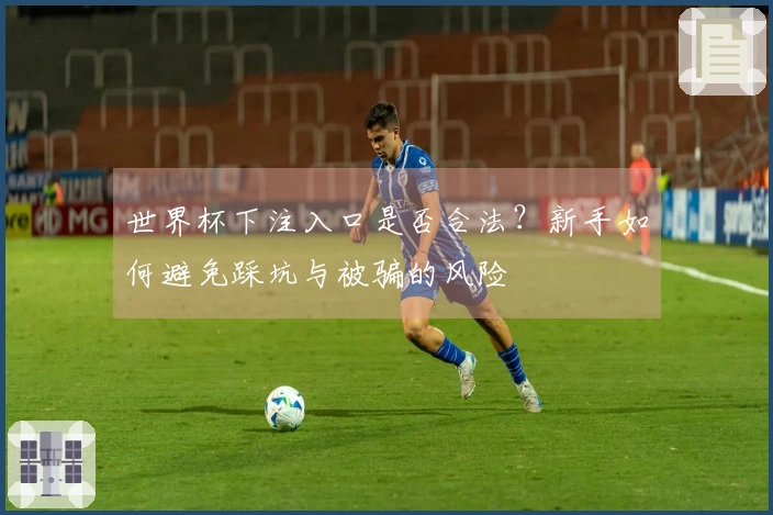 世界杯下注入口是否合法？新手如何避免踩坑与被骗的风险