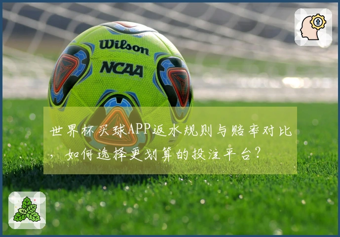 世界杯买球APP返水规则与赔率对比，如何选择更划算的投注平台？