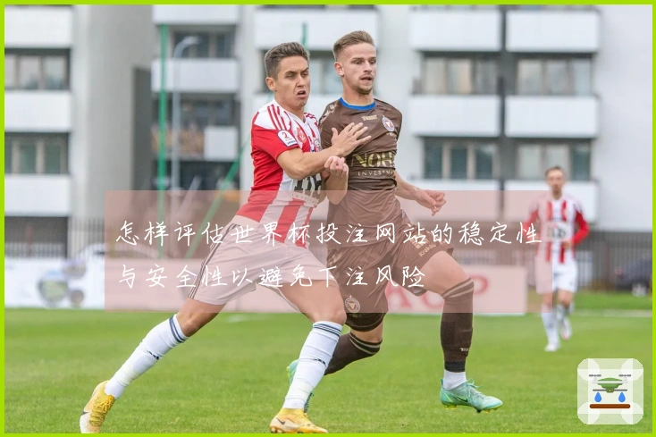 怎样评估世界杯投注网站的稳定性与安全性以避免下注风险