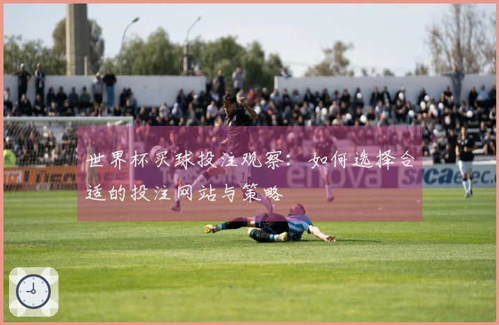 世界杯买球投注观察：如何选择合适的投注网站与策略