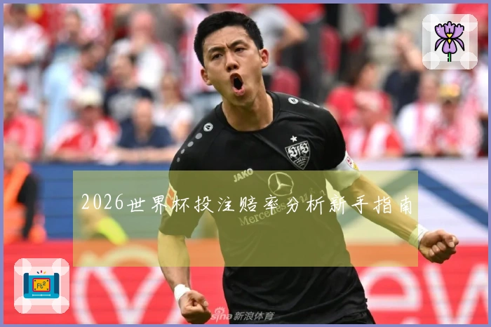 2026世界杯投注赔率分析新手指南
