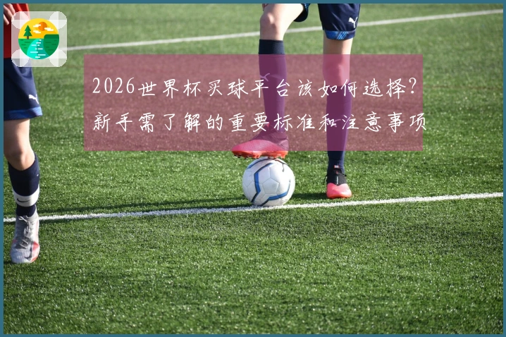 2026世界杯买球平台该如何选择？新手需了解的重要标准和注意事项