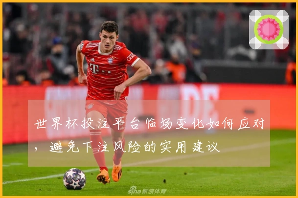 世界杯投注平台临场变化如何应对，避免下注风险的实用建议