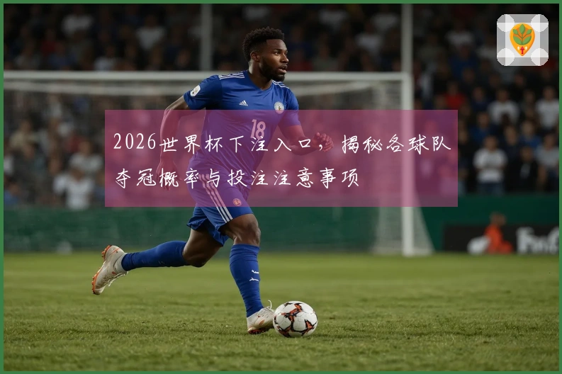 2026世界杯下注入口，揭秘各球队夺冠概率与投注注意事项