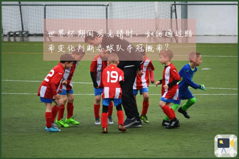 世界杯期间买竞猜时，如何通过赔率变化判断各球队夺冠概率？