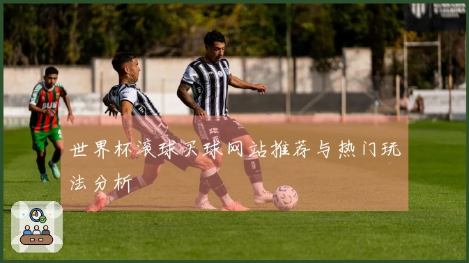 世界杯滚球买球网站推荐与热门玩法分析
