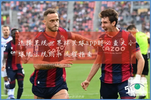 选择正规世界杯买球app时必查大小球玩法规则和流程指南