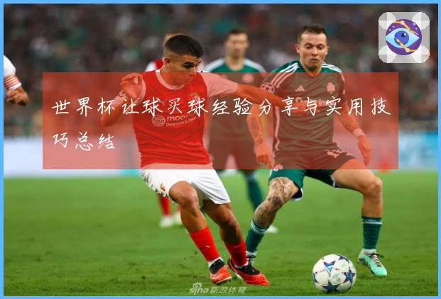 世界杯让球买球经验分享与实用技巧总结