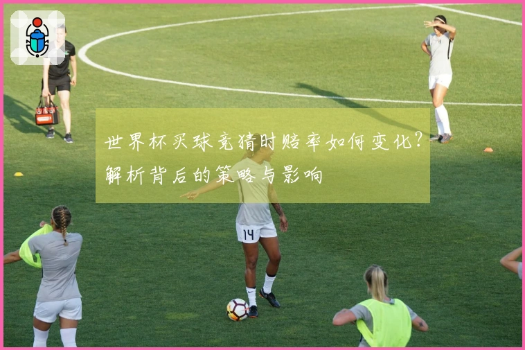 世界杯买球竞猜时赔率如何变化？解析背后的策略与影响