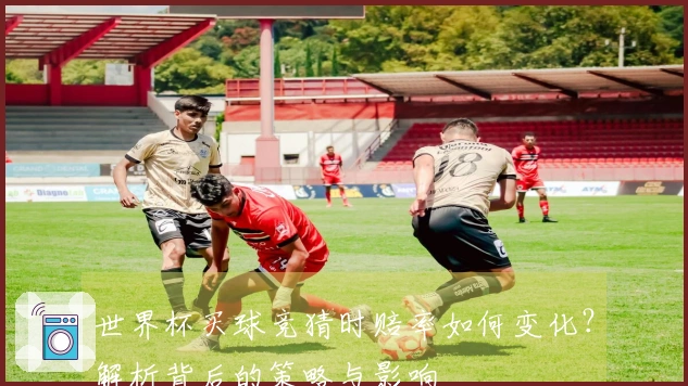 世界杯买球竞猜时赔率如何变化？解析背后的策略与影响