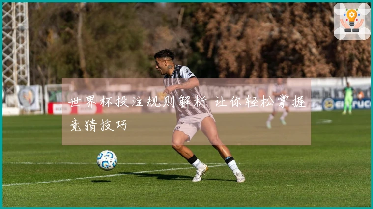 世界杯投注规则解析 让你轻松掌握竞猜技巧
