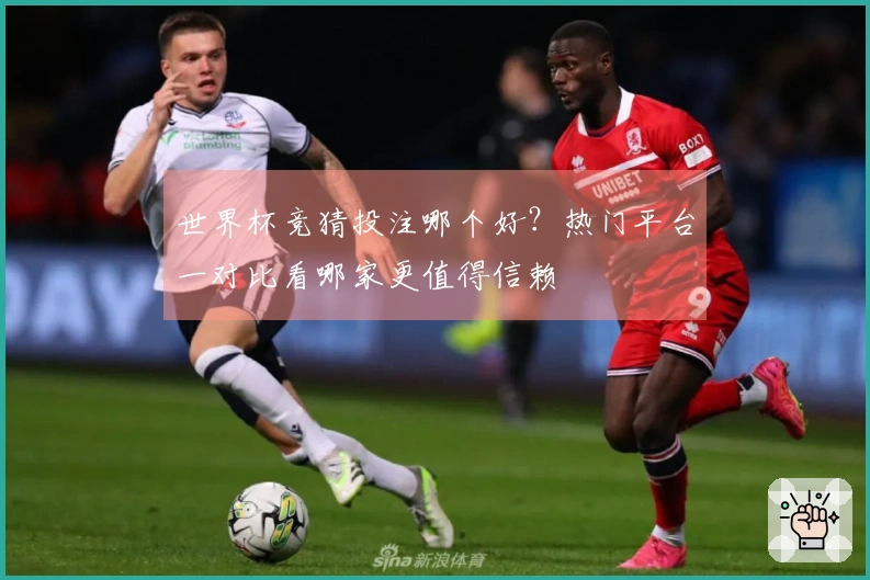 世界杯竞猜投注哪个好？热门平台一对比看哪家更值得信赖