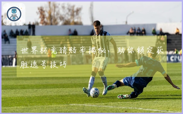 世界杯竞猜赔率揭秘，助你锁定获胜选号技巧