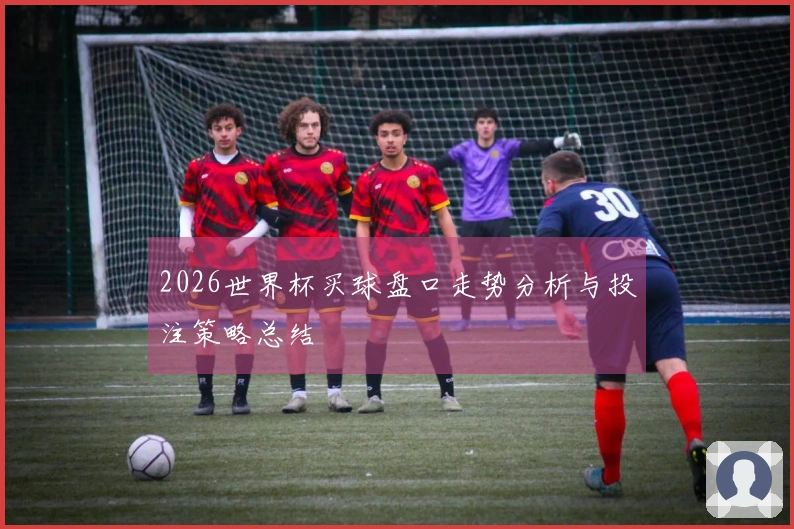 2026世界杯买球盘口走势分析与投注策略总结