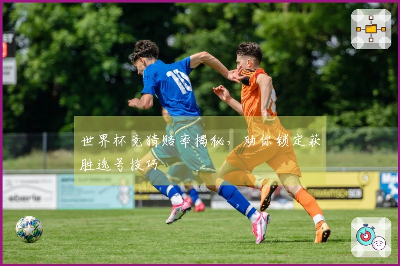 世界杯竞猜赔率揭秘，助你锁定获胜选号技巧