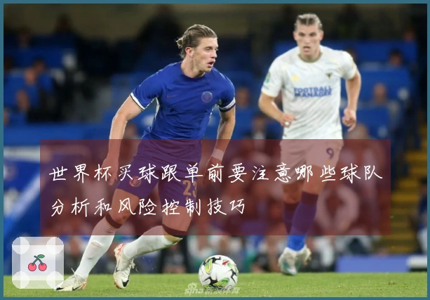 世界杯买球跟单前要注意哪些球队分析和风险控制技巧