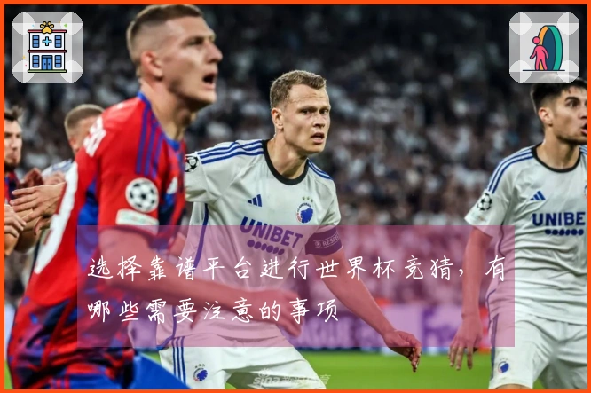 选择靠谱平台进行世界杯竞猜，有哪些需要注意的事项