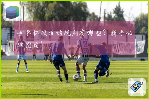 世界杯投注的规则有哪些？新手必读指南！