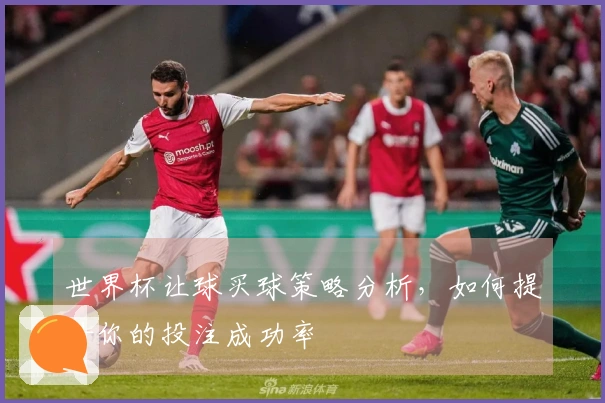 世界杯让球买球策略分析，如何提升你的投注成功率