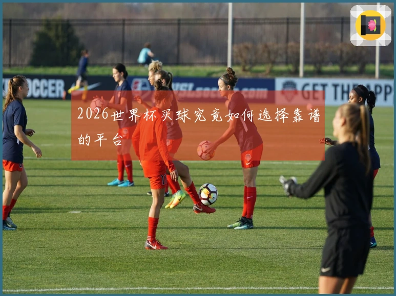 2026世界杯买球究竟如何选择靠谱的平台