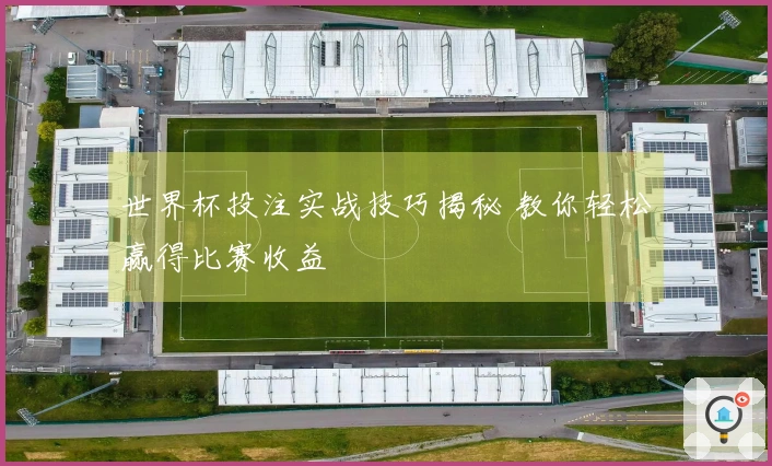 世界杯投注实战技巧揭秘 教你轻松赢得比赛收益