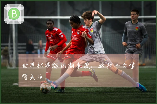 世界杯滚球热潮来袭，这些平台值得关注