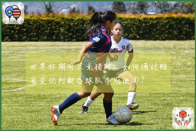 世界杯期间买竞猜时，如何通过赔率变化判断各球队夺冠概率？
