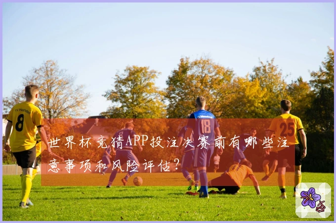 世界杯竞猜APP投注决赛前有哪些注意事项和风险评估？