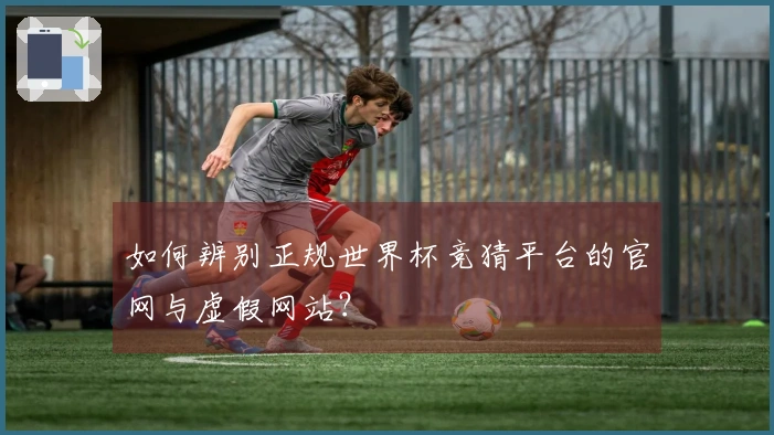 如何辨别正规世界杯竞猜平台的官网与虚假网站？