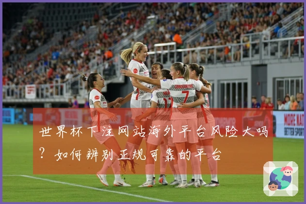 世界杯下注网站海外平台风险大吗？如何辨别正规可靠的平台
