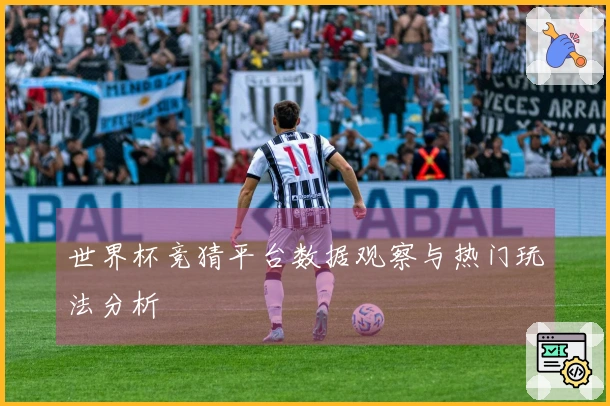 世界杯竞猜平台数据观察与热门玩法分析