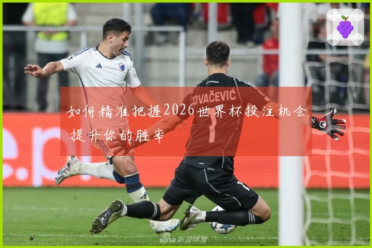 如何精准把握2026世界杯投注机会 提升你的胜率
