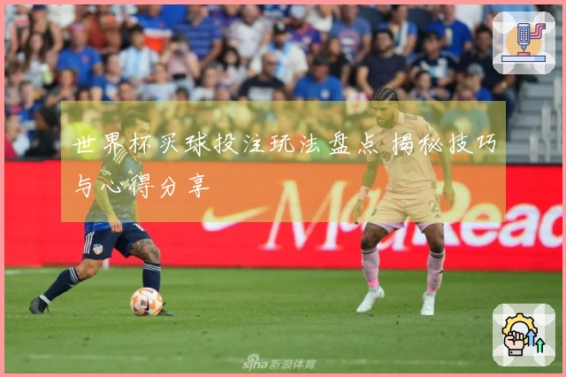 世界杯买球投注玩法盘点 揭秘技巧与心得分享