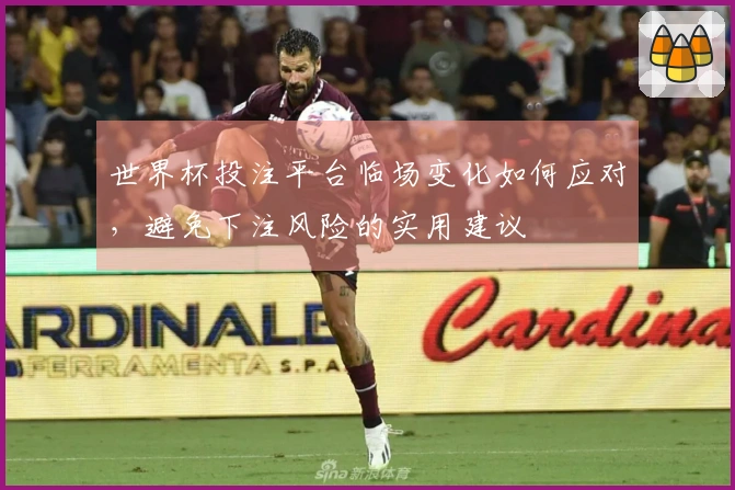世界杯投注平台临场变化如何应对，避免下注风险的实用建议