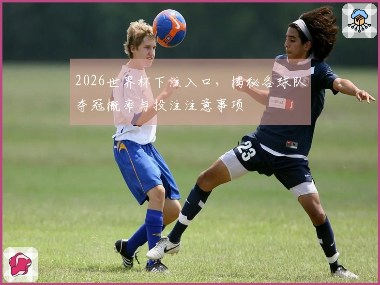 2026世界杯下注入口，揭秘各球队夺冠概率与投注注意事项