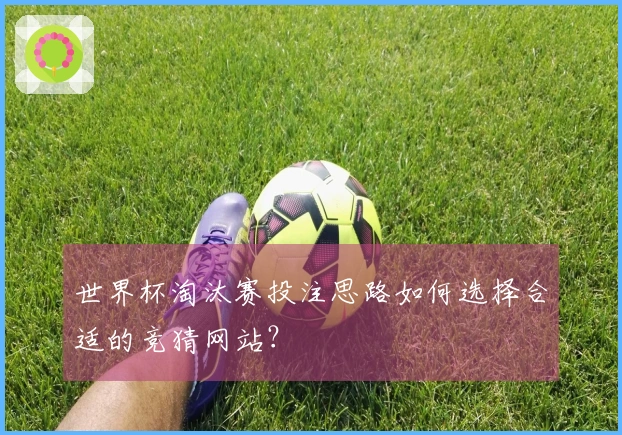 世界杯淘汰赛投注思路如何选择合适的竞猜网站？