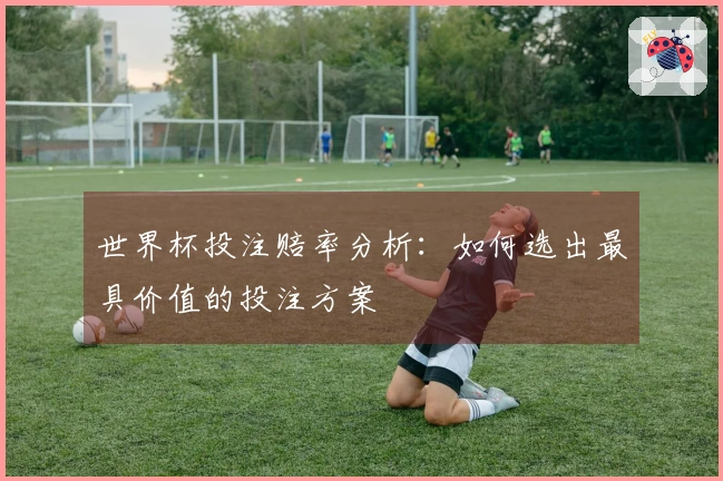 世界杯投注赔率分析：如何选出最具价值的投注方案
