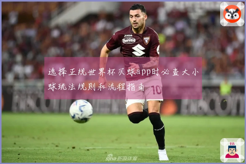 选择正规世界杯买球app时必查大小球玩法规则和流程指南